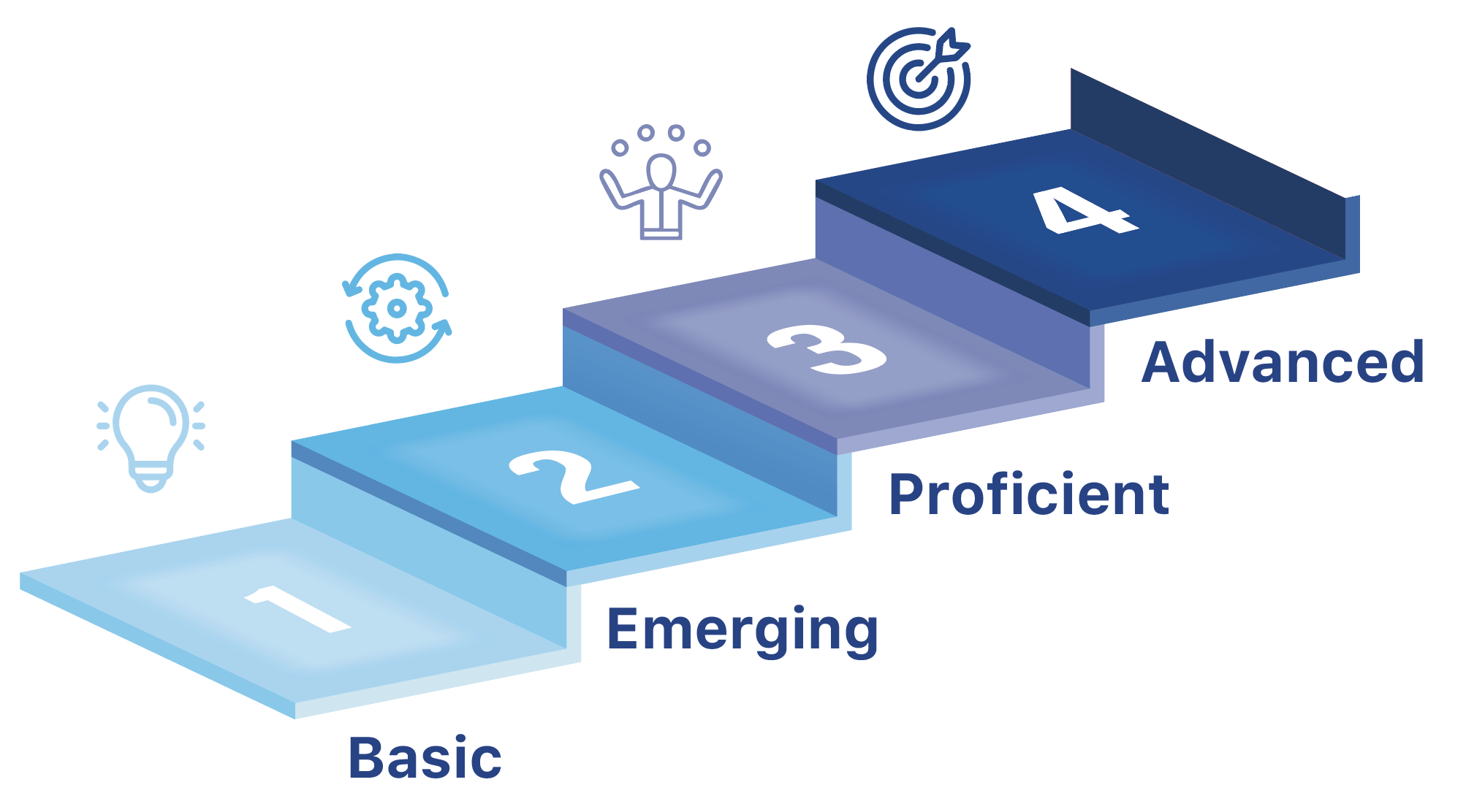 Figure 3: Maturity Level Progression Ladder
